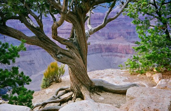 文化產業政策研究與解讀